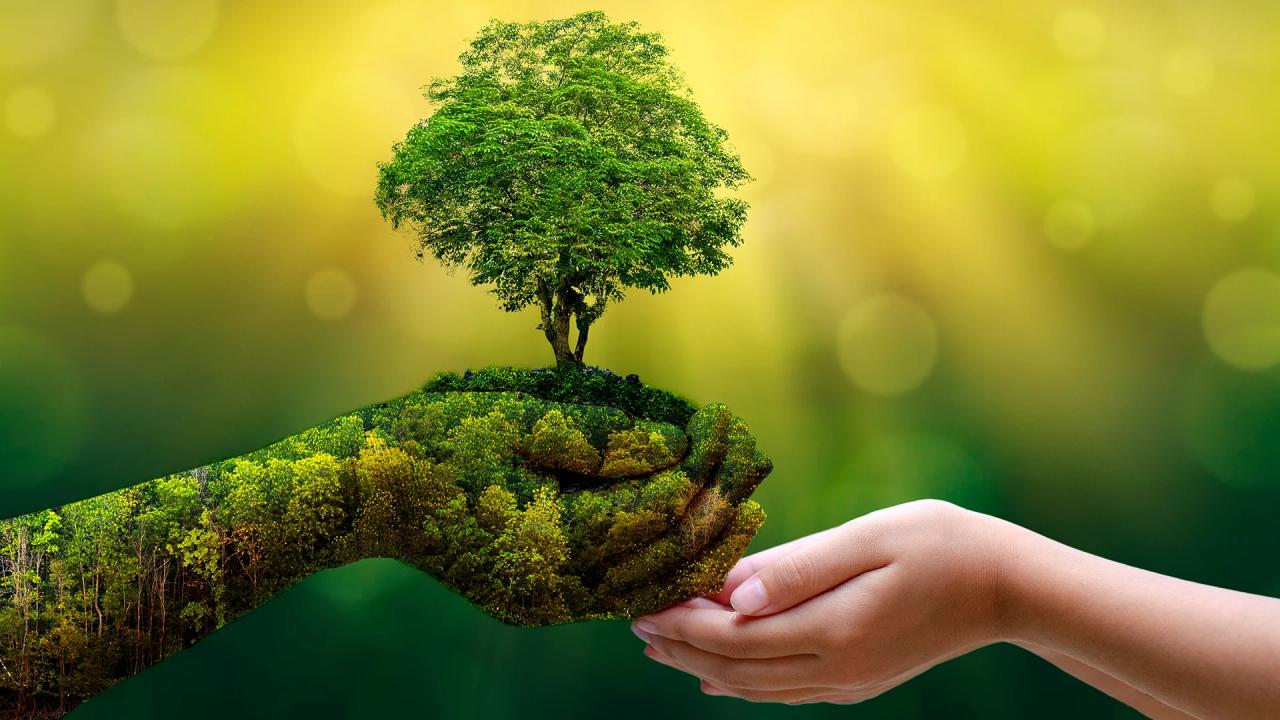 Environmental Commitment
